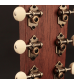 Tyler Mountain Dreadnought Cutaway Guitar Acoustic Electric tg4-cs + Hard Case